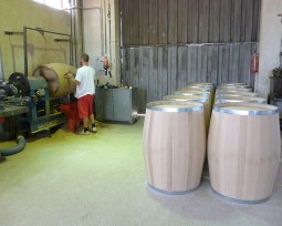 varelia-lioutas-leiansi-ekswteriki1