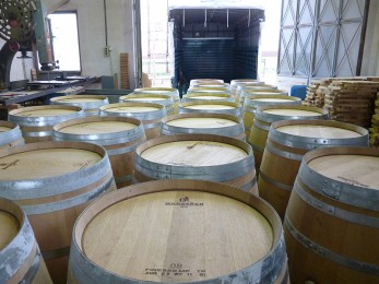 varelia-metaxeirismena-gallika-3