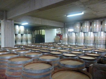 varelia-metaxeirismena-gallika-5