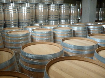 varelia-ksylina-lioutas5