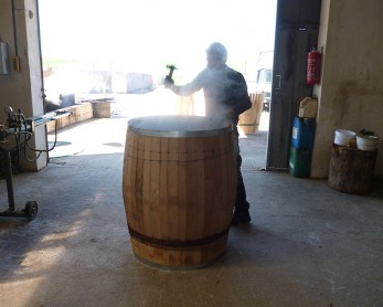 varelia-lioutas-kapsimo1