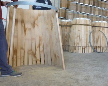 varelia-lioutas-morfopoiisi-vareliou