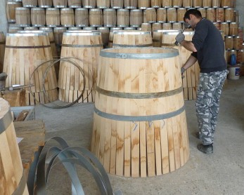 varelia-lioutas-morfopoiisi1