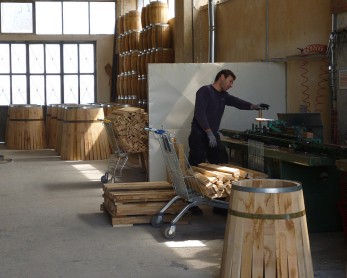 varelia-lioutas-morfopoiisi3